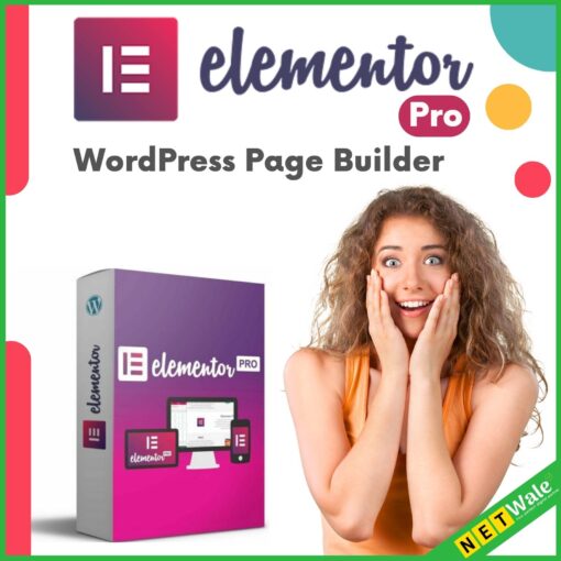 Elementor PRO