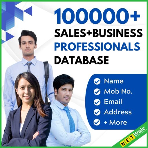 100000+ Sales + Business Professionals Database