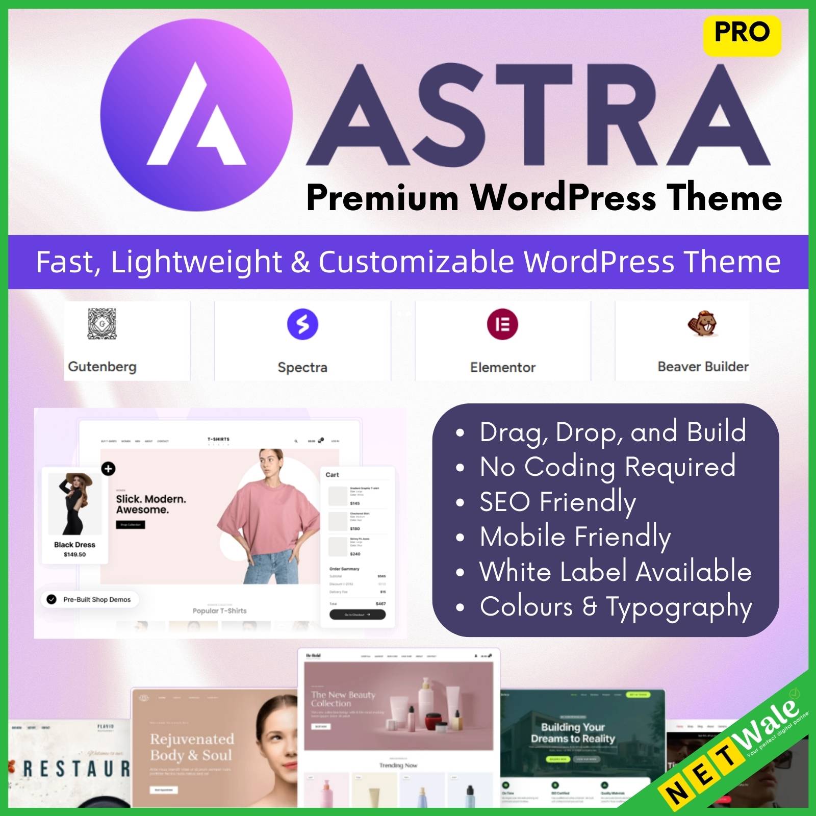 Astra Pro Premium WordPress Theme