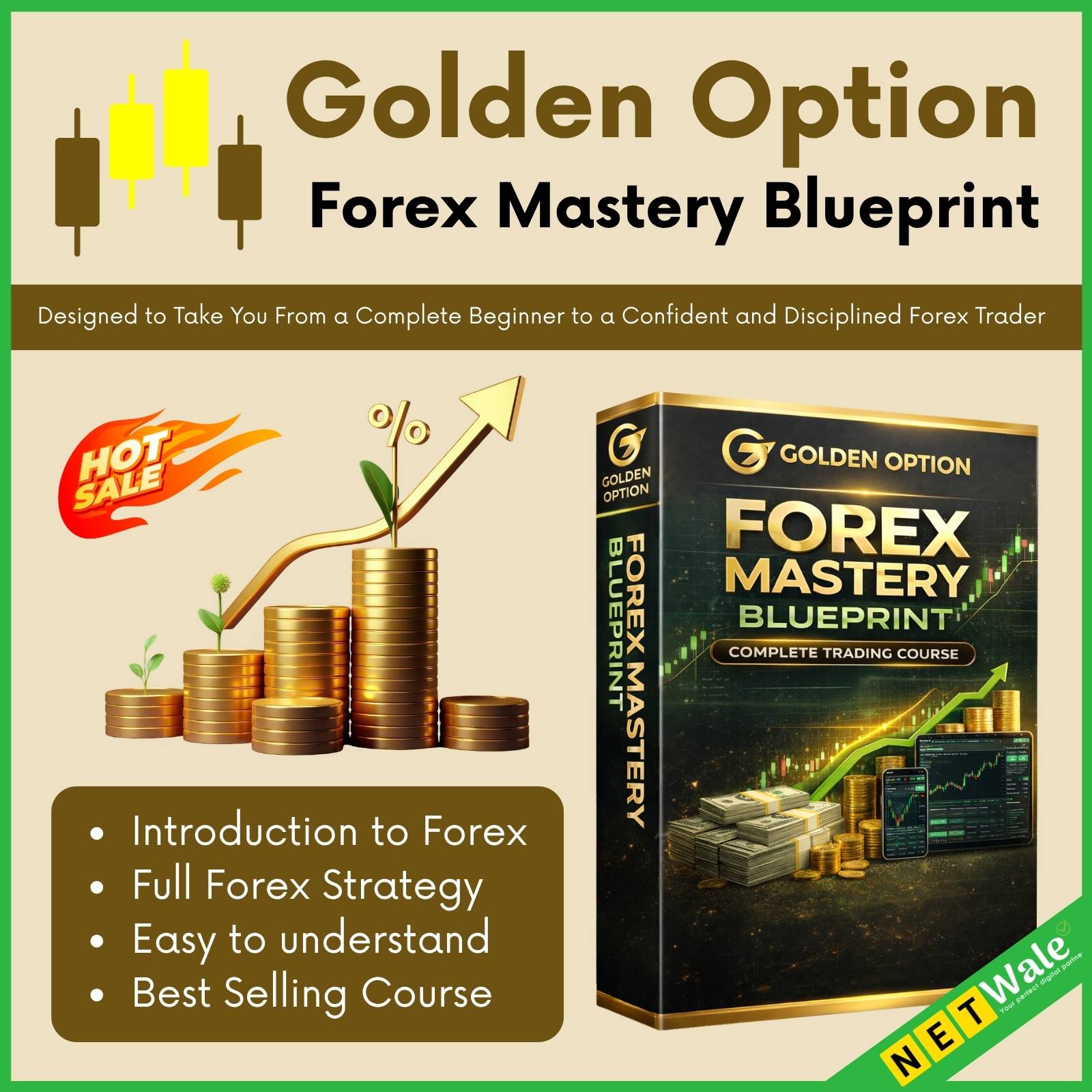 Golden Option Forex Mastery Blueprint